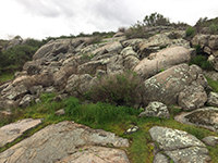 Large granite outcrop along the Bernardo Bay Trail