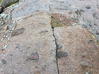 Weathering surface of granitic rock with basaltic xenoliths on an outcrops along the Bernardo Bay Trail.