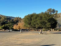Visitor Center parking lot with trees.