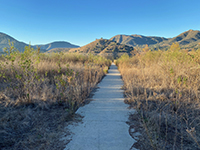Trail leading down to Fishing Dock on Lake Hodges.