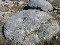 Prehistoric mortars on a granite boulder damaged by submersion by lake waters.