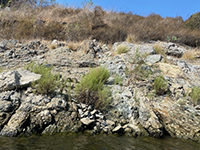 Volcanic dike cutting through older volcanic rocks and volcanoclastic sediment exposed along the south shore of the Fletcher Point Peninsula.