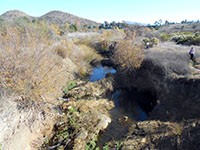 Piedras Pintadas Trail next to Bernardo Creek.