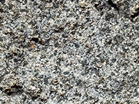 Zoom view of tonalite sample