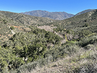 View looking west from Pamo Valley Trail about 2 miles east of the trailhead showing Clevenger Canyon.