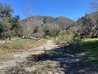 View of the dry, sandy stream bed of Santa Ysabel Creek in the summer in Pamo Valley (near the trailhead area).