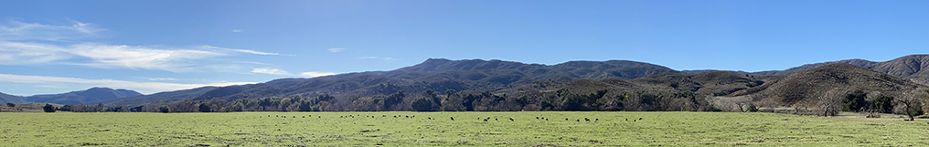 Panoramic view of Pamo Valley with an abundance of wild turkeys grazing in a spring pasture on Pamo Valley Ranch (part of the San Diego Water District lands).