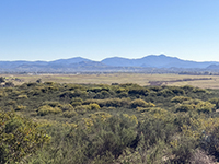 View looking east over the Ramona Grasslands with the high peaks of the Cuyamaca Mountains in the distance. Coastal sage scrub habitat in the foreground.
