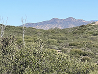 View looking west from the hillsides covered with Coastal Sage Scrub habitat with the peaks of Franks Peak and Mount Whitney near San Marcos in the distance.