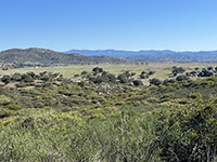 View looking north over the Ramona Grasslands with the high ridgelines of Mesa Grande and Palomar Mountain in the distance. Coastal sage scrub habitat and oak forest in the foreground.