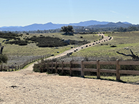 View of a well maintained and partially fenced trail extending off into the distance at the Ramona Grasslands Preserve.