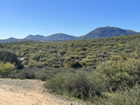 Several mountain peaks rise in a row along mountain fron with a slope covered with chaparral and coastal sage scrub in the foreground. Woodson Mountain has radio towers on its peak.