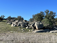 A grassy slope that extends along the margen of a large field of granite boulders with some oak trees.