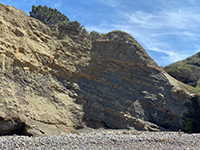 Steeply north-dipping sandstone and shale beds (turbidites) in the sea cliff.