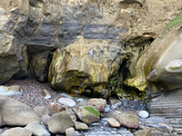 A cavernous passage with spring deposits with the Mount Soledad Fault zone on the rocky beach.