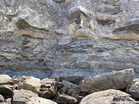 Massive sandstone layers and shale beds of the Point Loma Formation exposed in the sea cliff west of the Mount Soledad Fault.