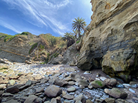 Rose Canyon Fault (Mount Soledad Fault strand) exposed at La Jolla Bay.