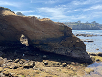 A small sea arch through a narrow headland on the La Jolla Bay sea cliffs.