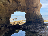 A layer of sandstone concretions crops out near the base of the sea arch window.