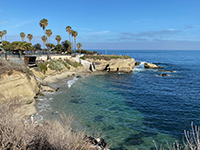 Cretaceous-age strata exposed around La Jolla Cove dips to the south.