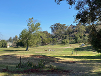 The faultline roughly follows the stream drainage northward across the Presidio Hills Golf Course. 