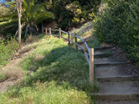 The Historic Old Presidio Trail ascends the ancient sea cliff to the top of the next marine terrace.