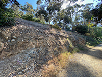 View of the Pleistocene gravels and Eocene sandstone outcrop along the Historic Old Presidio Trail.
