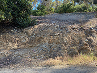 The unconformity between north-dipping Eocene-age sandstone beds and overlying Pleistocene gravels along trail.