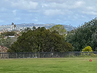 View looking north from the Rose Canyon Fault locality in Tecolote Park toward Mount Soledad.