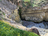 Rose Canyon Fault (Mount Soledad Fault strand) exposed at La Jolla Bay as visible from the Coast Walk Trail.