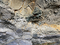 Cretaceous-age deep-sea channel deposits in sea cave wall.