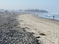 This view is looking south along the broad sandy beach at Cardiff State Beach.