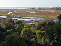 View looking west across the San Elijo Lagoon during low tide when the salt marsh is well exposed.