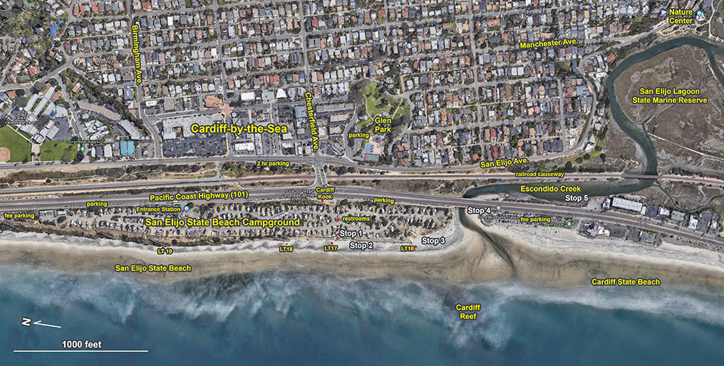 Map showing 5 stop field trip stop locations in the San Elijo State Beach, Cardiff Beach, and San Elijo Lagoon area.