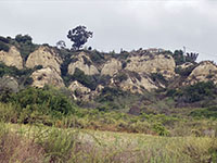 This view shows the massive cliffs of Torrey Sandstone in the escarpment above the MiraCosta College San Elijo Campus. Bay Point Formation forms a cap rock.