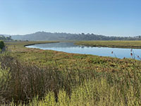 This view is looking south across San Elijo Lagoon to the hillsides that display a profile of the step-like character of marine terraces. The youngest is lowest, and the oldest is at the top of the mesa.
