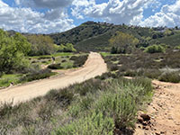 View of the dirt trail crossing the unpaved road in Sycamore Canyon.