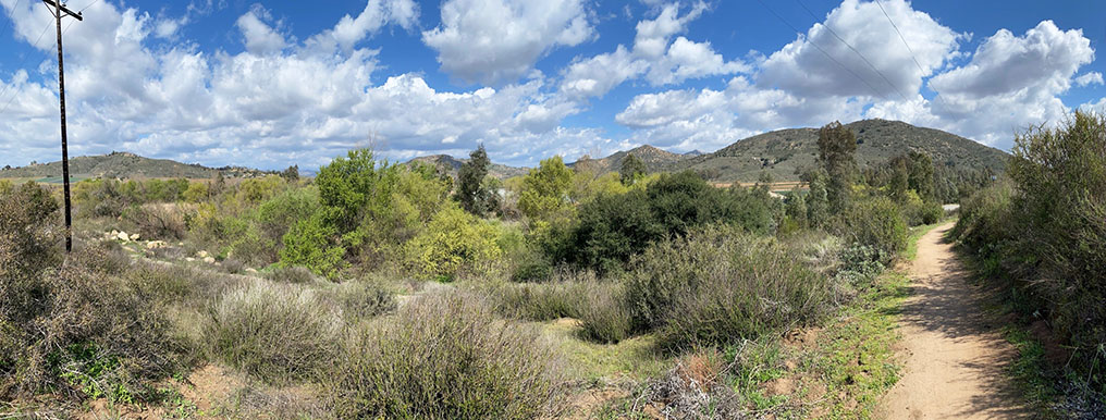 Panoramic view showing mixed trees and shrubs along Sycamore Creek near the Highland Valley Trail.