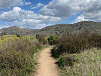 View of the trail lined with sagebrush and mountains in the distance.