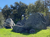 A large boulder outcrop surrounded by oak trees and very green grass in the foreground.