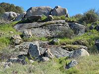 A step-like series of granite boulders and outcrops rise above a sagebrush covered slope.