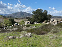 View of a hillside with  of rounded boulders and outcrops standing out on a sagebrush covered slope with an oak tree and Bernardo Mountain in the distance.