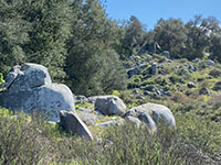 View of lots of rounded boulders and outcrops standing out on a sagebrush covered slope with an oak forest beyond the rocks.