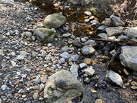 View of a small rocky gravel bar along a small stream.