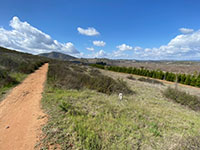 View west along Highland Valley Trail toward Bernardo Mountain in the distance.