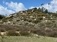 Boulder and brush-covered slope on a hillside along the trail.