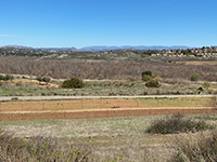 View looking across fields and Highland Valley Road to the wetlands along the San Dieguito River.