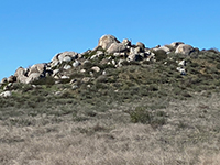 A low hill with granite boulders and outcrops beyonds a grass and shrub covered field.