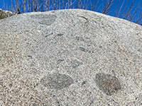 Gabbro inclusions *dark splotches) in light-colored tonalite (a granitic rocks).