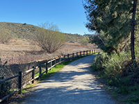 Mule Hill Trail running along the Kit Carson Creek wetlands.